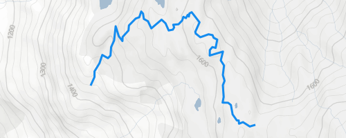 With a Twist Mountain Biking Trail - Whistler, BC