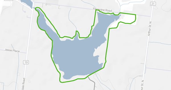 Tranquil Waters: A Hiker's Review Of The Elmira Lions Lake Trail