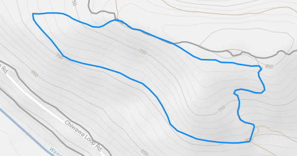 Rock Ridge Loop Multi Trail - Plain, Washington