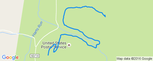The Holler Trail Mountain Biking Trail - Lewisburg