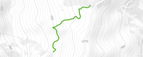 Discesa nel bosco Mountain Biking Trail - Campo Ligure