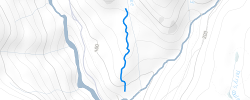 Lower Flower Ridge Trail Hiking Trail - Sooke, BC