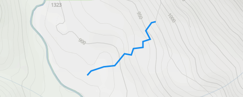 Pete Lake Tie Trail Hiking Trail - - Washington