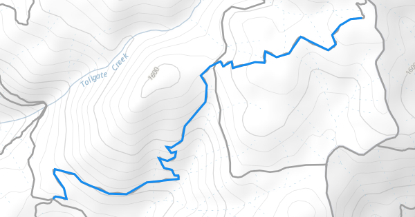 Mount Hough #1 Mountain Biking Trail - Quincy, California