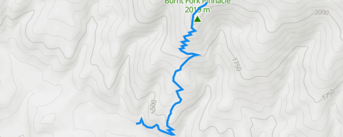 Burnt Fork Multi Trail - Ninemile, Missoula, Montana