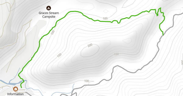 Five Mile Loop Hiking Trail - Lower Hutt | Trailforks