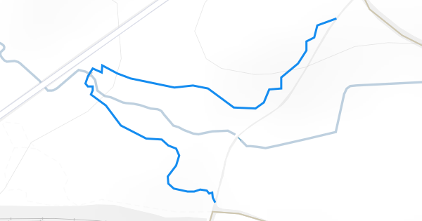 Blue Trail Mountain Biking Trail - Delamere | Trailforks