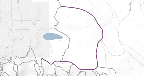 Tokul East Road Climb (Upper) Mountain Biking Trail - Fall City