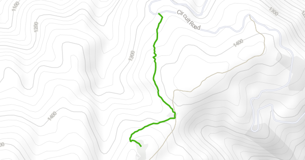 Craigs Hut Walk Hiking Trail - | Trailforks