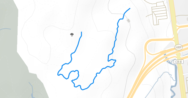 Blue Trail Mountain Biking Trail - Scarsdale, New York