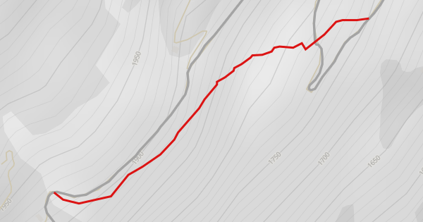 Brüchwald Hiking Trail - Davos Klosters, Davos