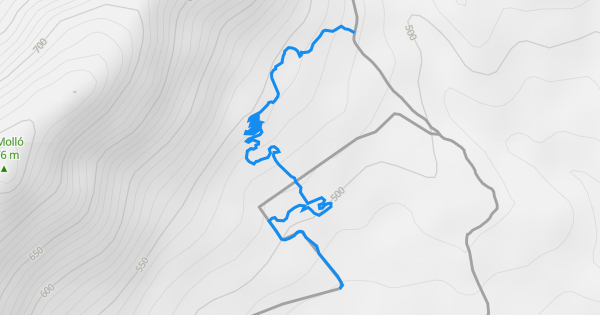 Molló - Les Fontanelles Multi Trail - Castellon de La Plana