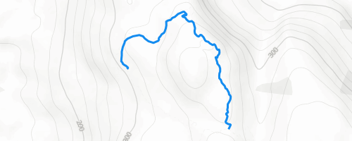 Lichen Loop Mountain Biking Trail - Terrace, BC