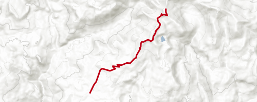 Craggy Peak Trail Multi Trail - Randle, Washington