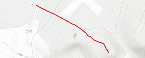 Dunsinane Walkers Path Hiking Trail - Dunsinane Hill