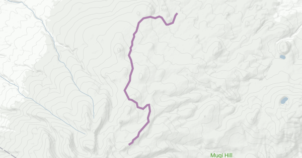 Timau Map Timau Trail Multi Trail - Mount Kenya, Nyeri