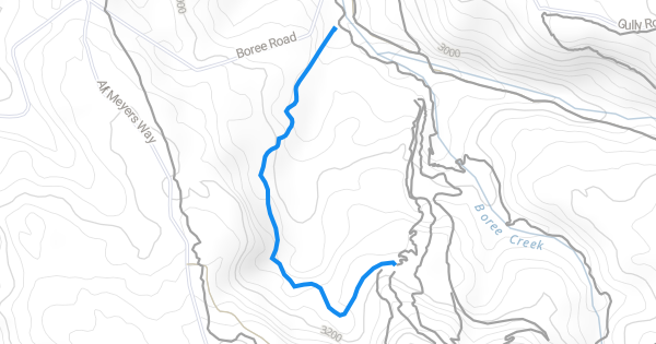 True Blue Mountain Biking Trail - Orange | Trailforks