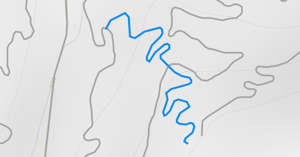 Wild Hack Mountain Biking Trail - Frisco, Colorado